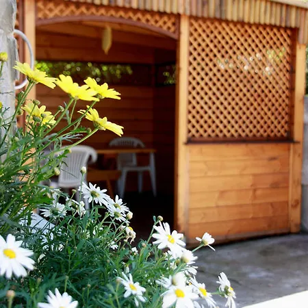 Ada & Lejlighed Karpacz